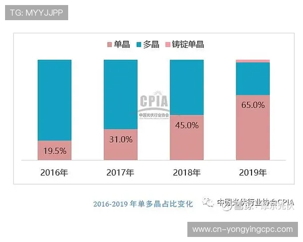 快3记录分析与趋势预测：如何利用数据提高投注成功率与技巧探究