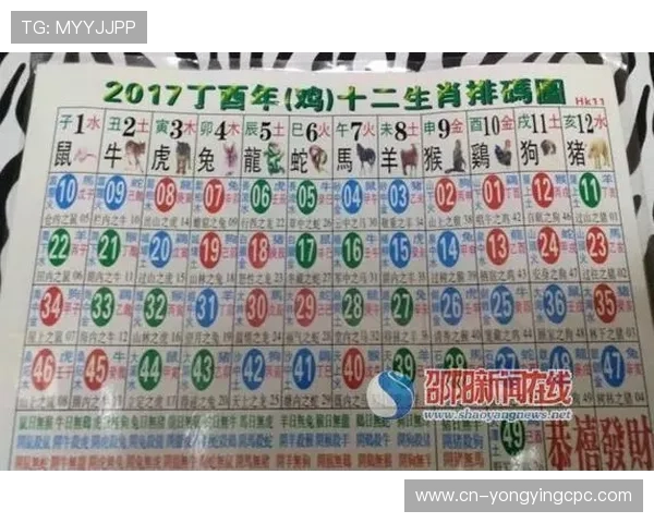 深度解析香港六合彩开奖结果走势与未来选号策略全面指南
