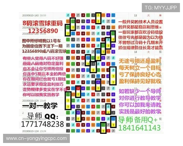 精准解析幸运飞艇走势规律提升中奖概率全攻略