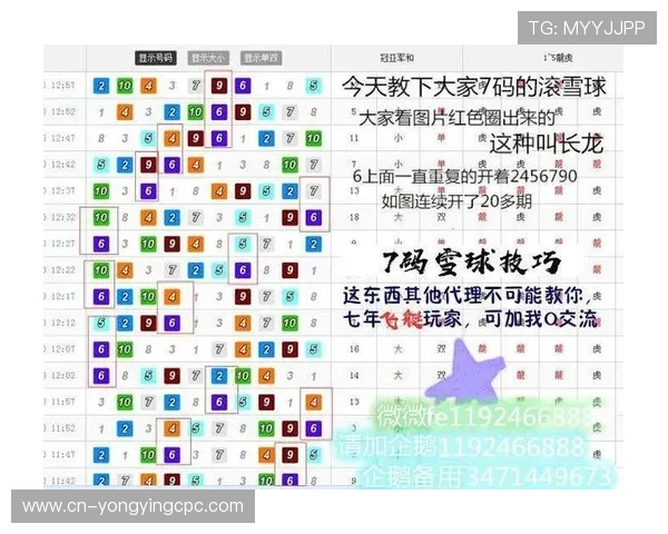 官方飞艇玩法规则详解及投注策略全方位指南