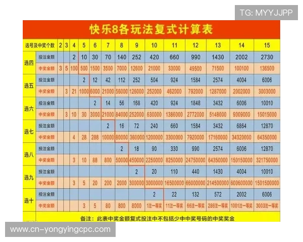 掌握十一选五投注技巧提升中奖概率的实用指南
