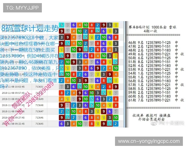 揭秘北京贫PK10高胜率投注技巧与选号策略全解析